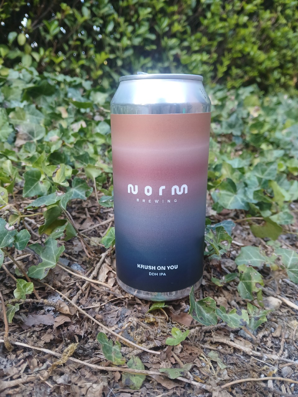 Krush on you, Norm Brewing