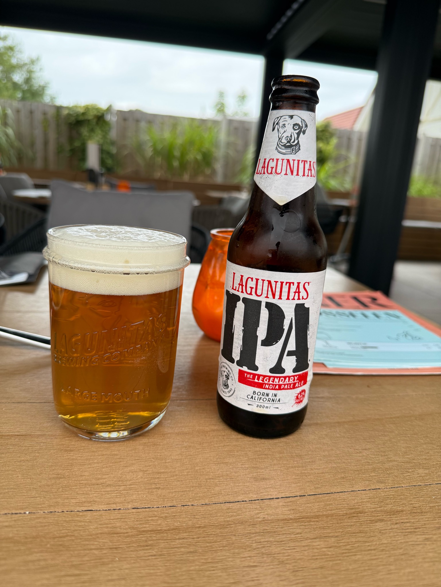 Lagunitas IPA, Lagunitas Brewing Company (Heineken)