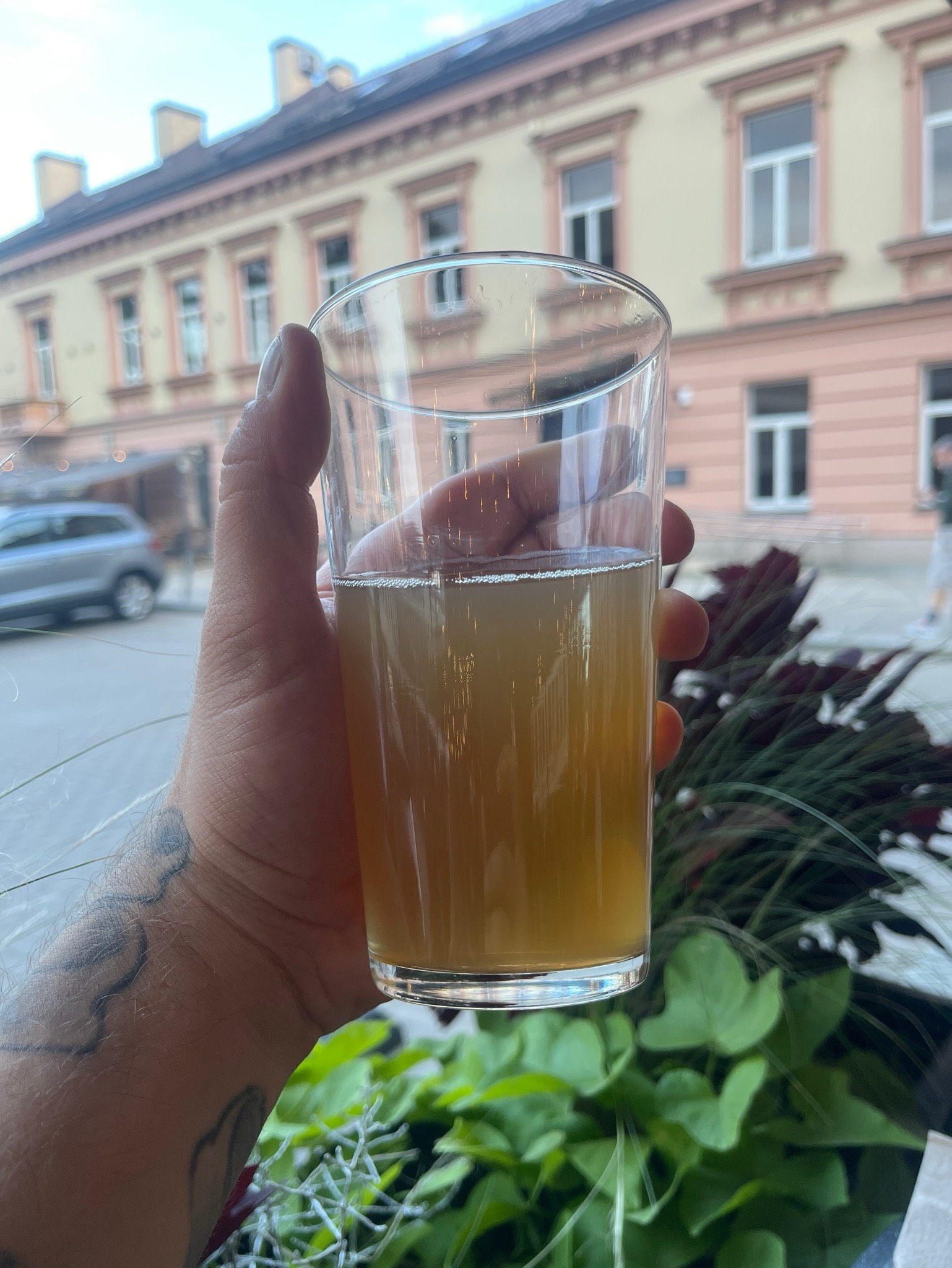 Švyturys Baltas, Švyturys (Carlsberg)
