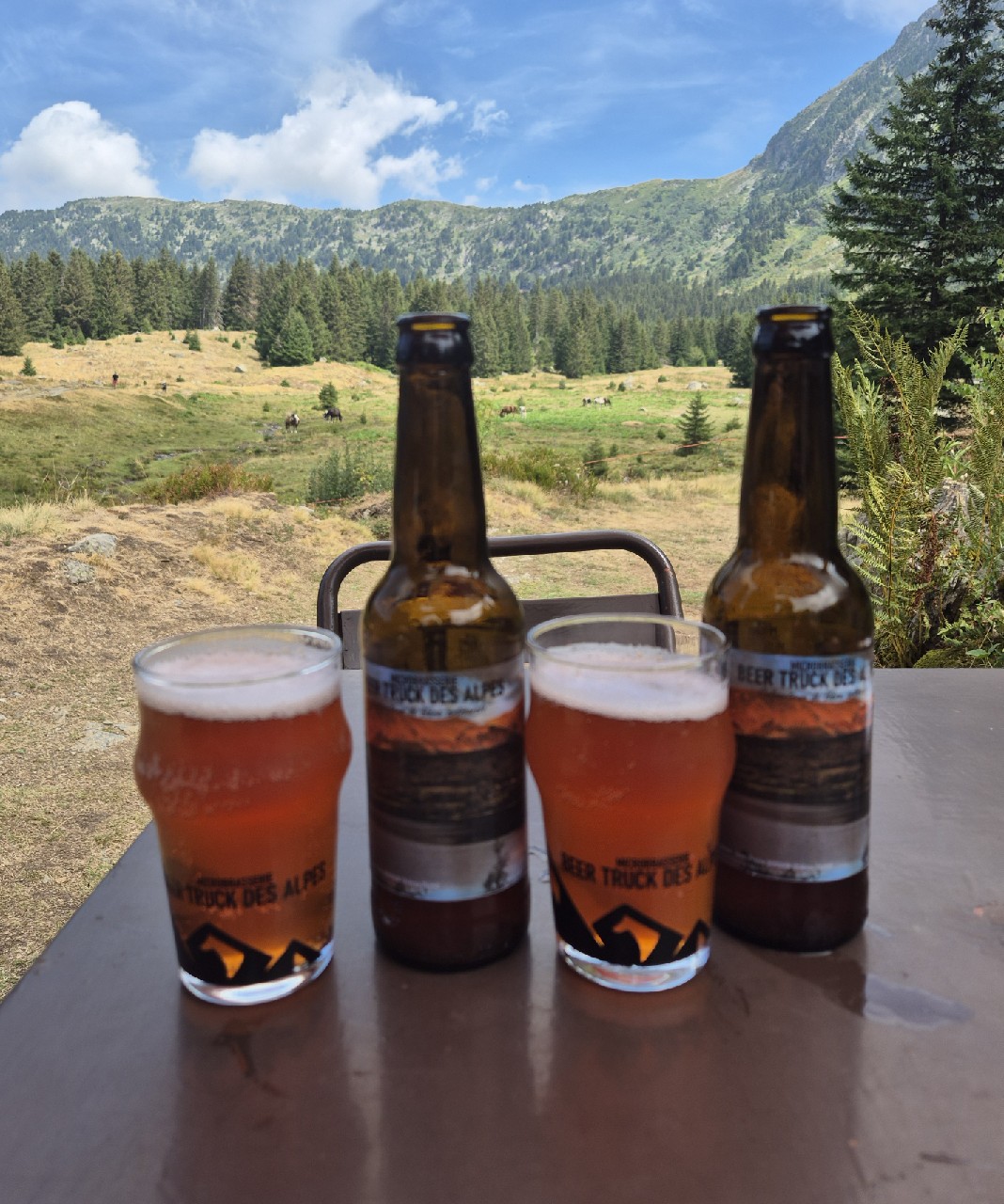 Lac De Petichet, Beer Truck Des Alpes