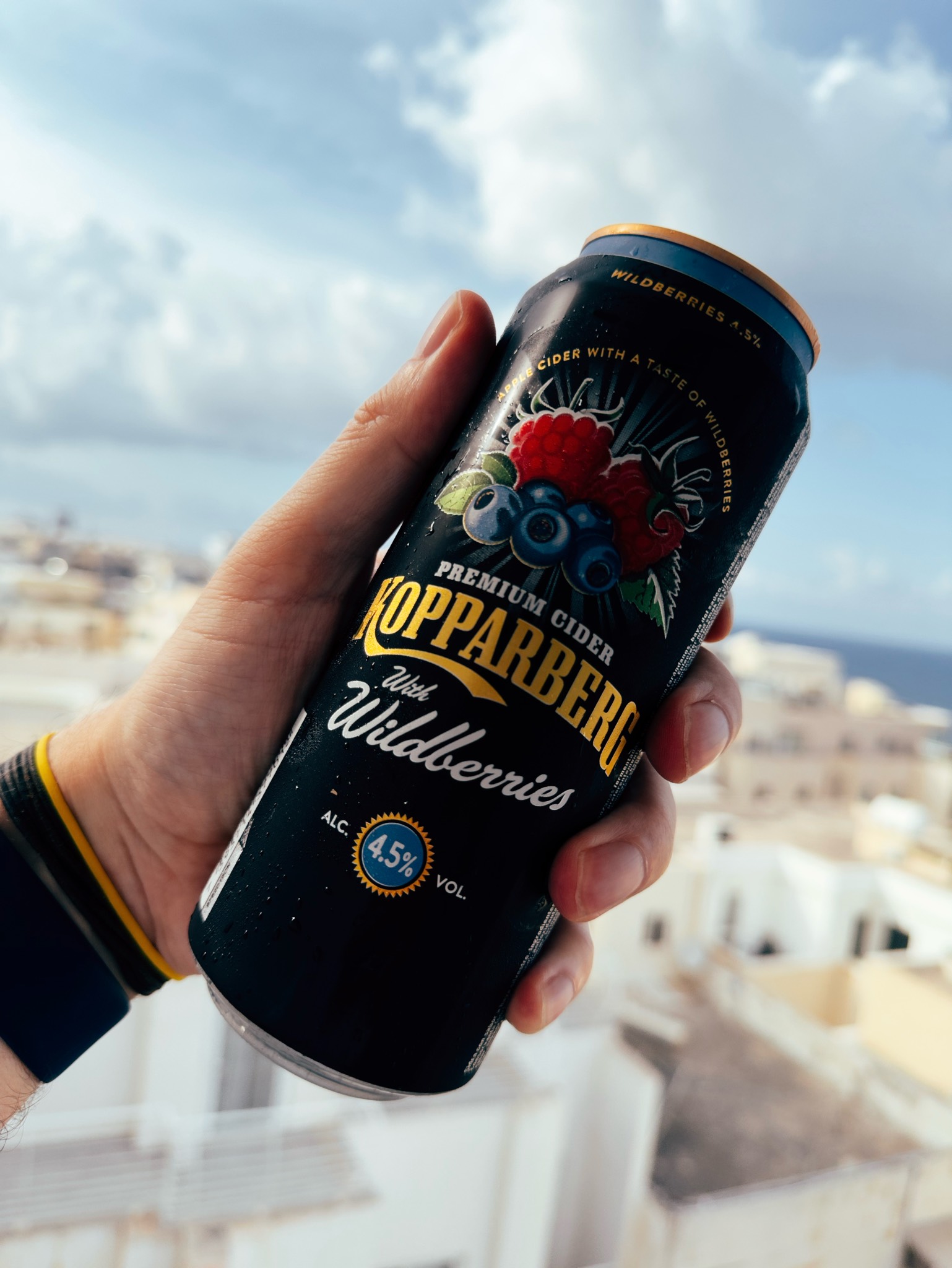 Kopparberg with Wildberries, Sweden