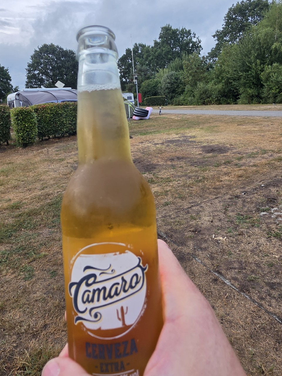 Argus Camaro Cerveza, Lidl France