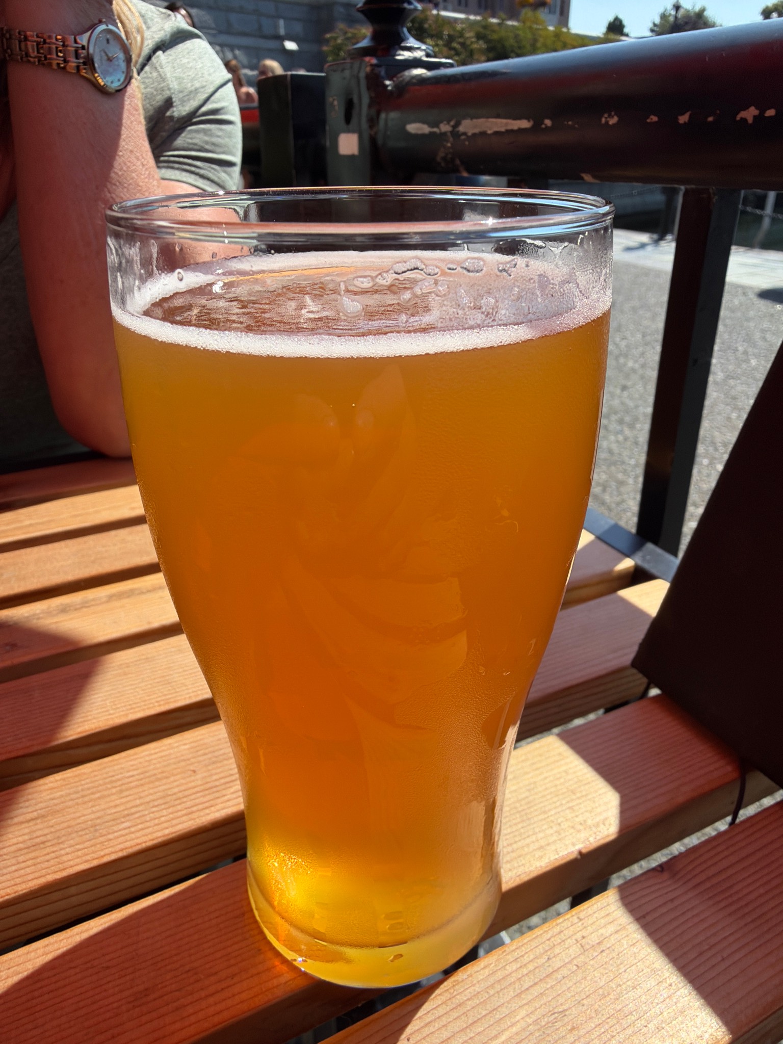 Trail Hopper IPA, Stanley Park Brewing (ABInBev)