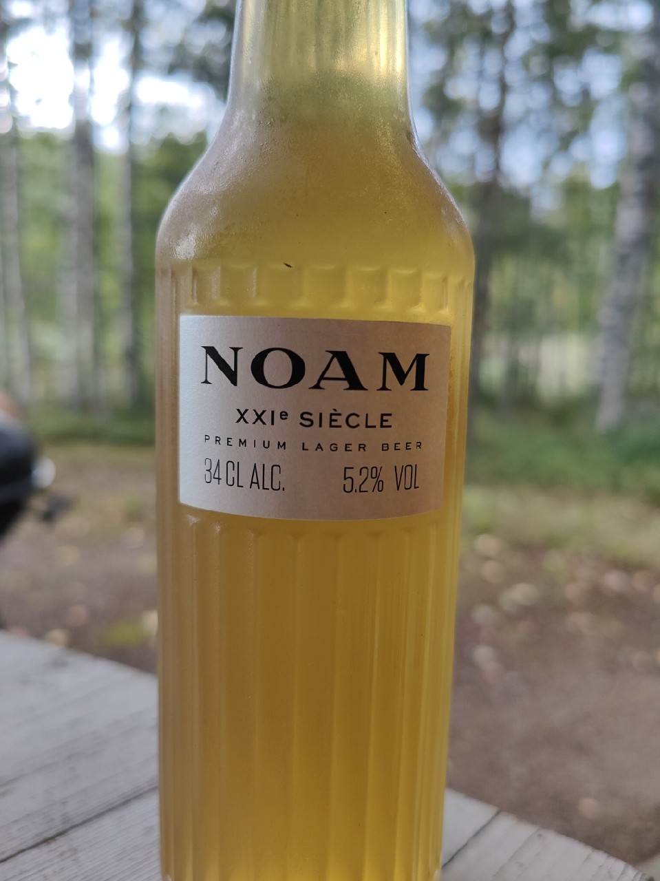 NOAM XXIe Siecle, Germany