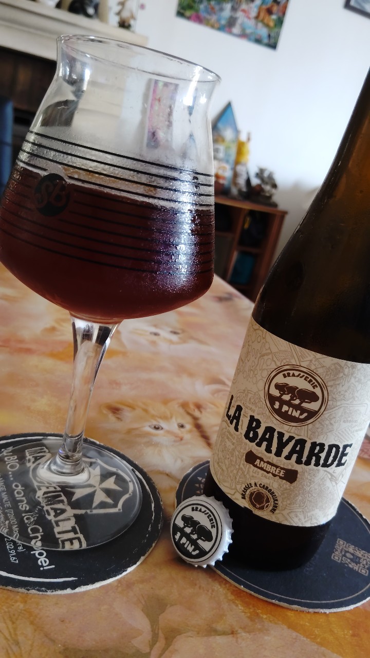 La Bayarde, Brasserie Des 3 Pins