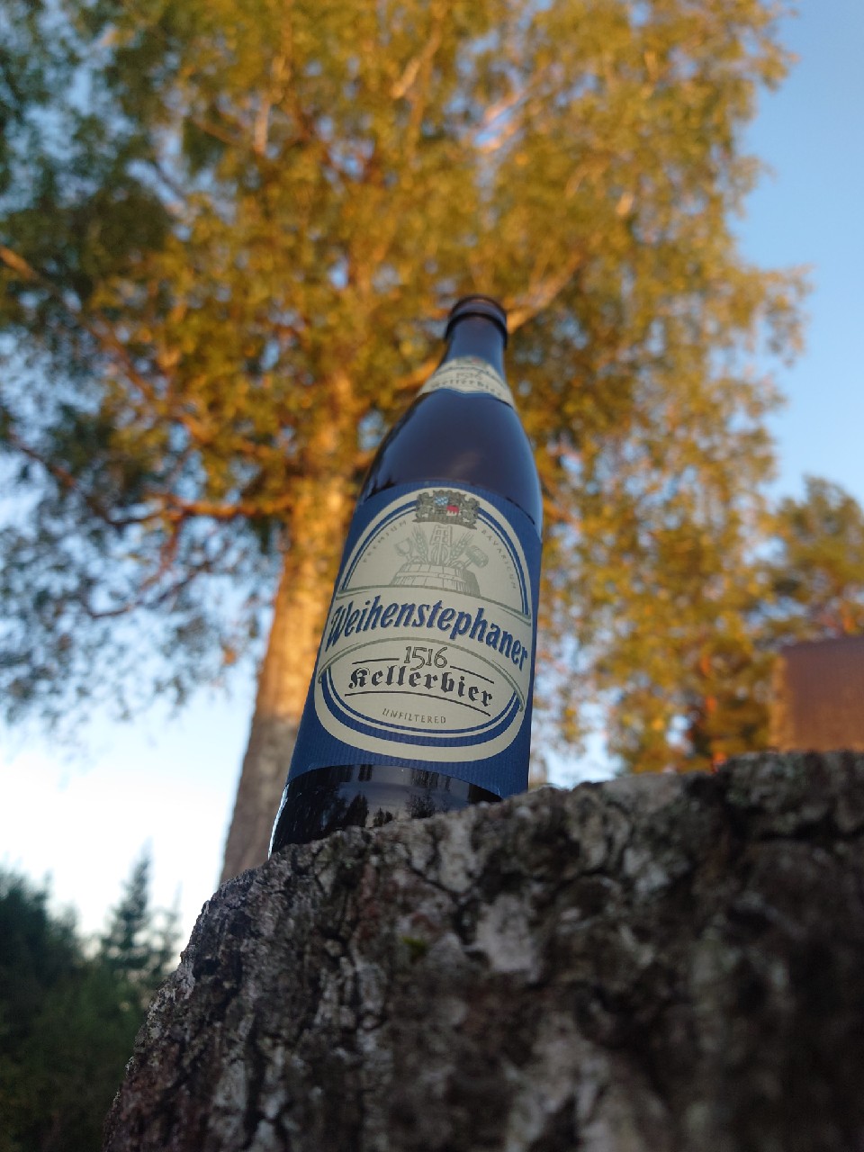 Weihenstephaner 1516 Kellerbier, Germany