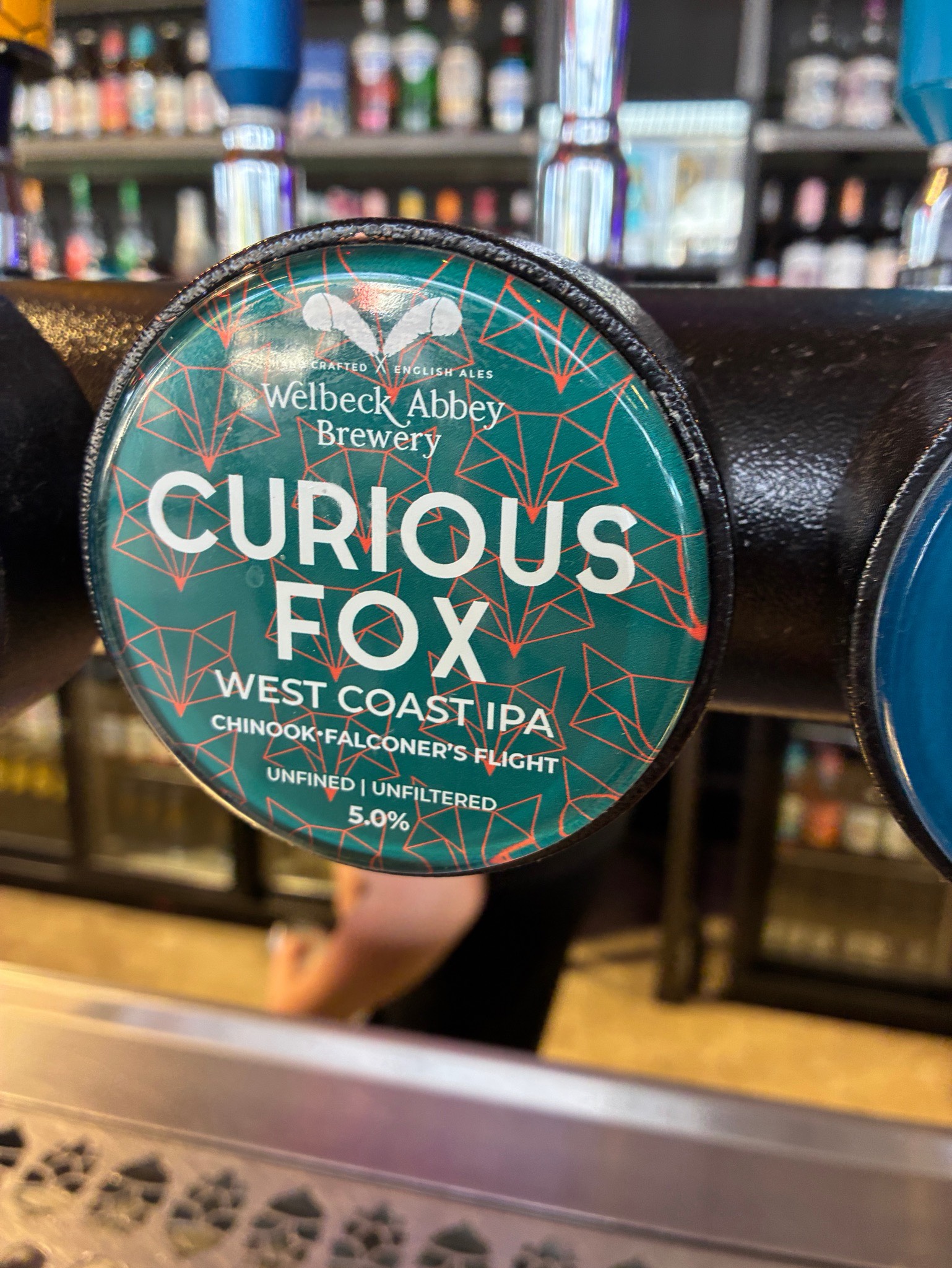 Curious fox, Welbeck Abbey Brewery