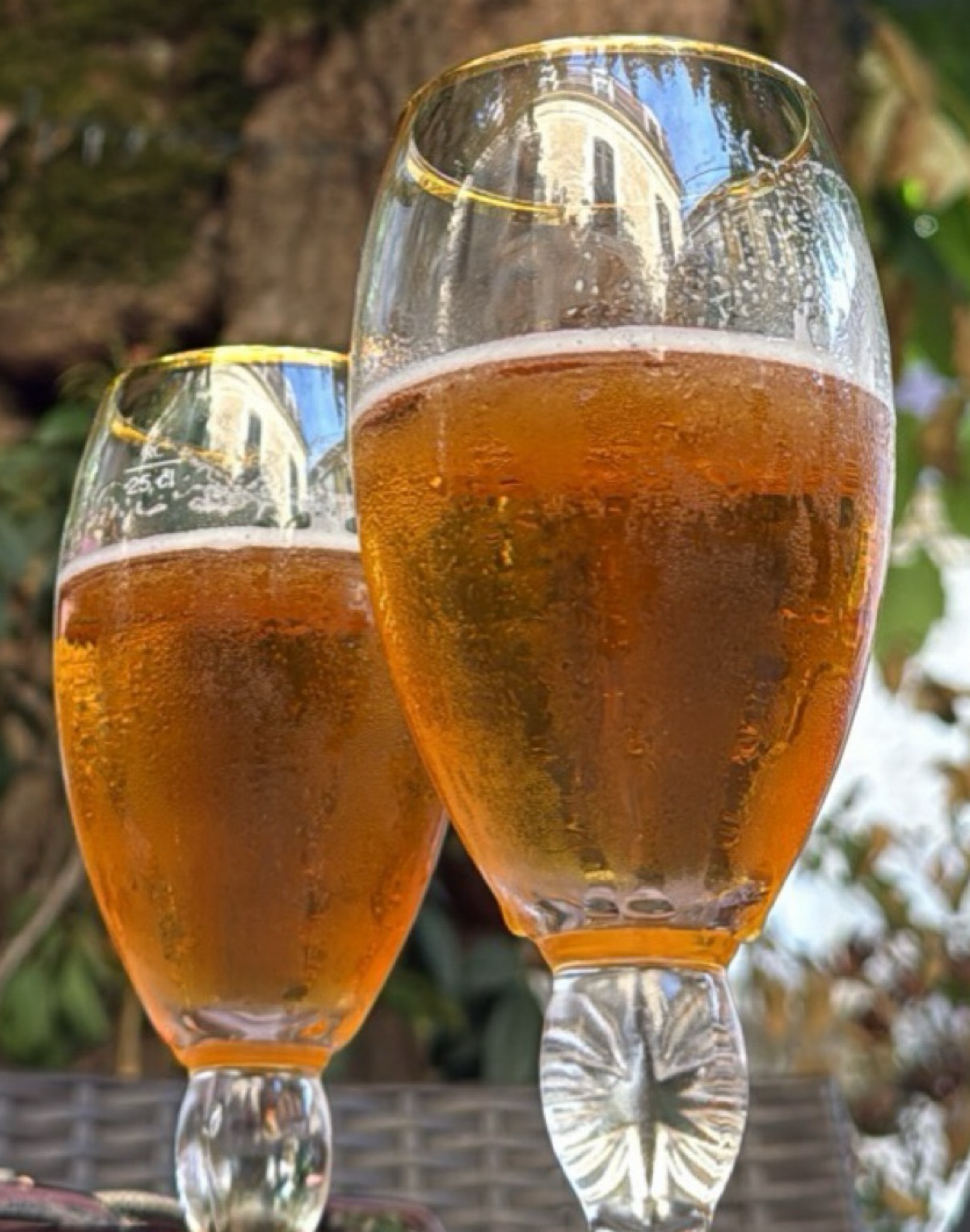 Tatou, BAM - Brasserie Artisanale De Marsac