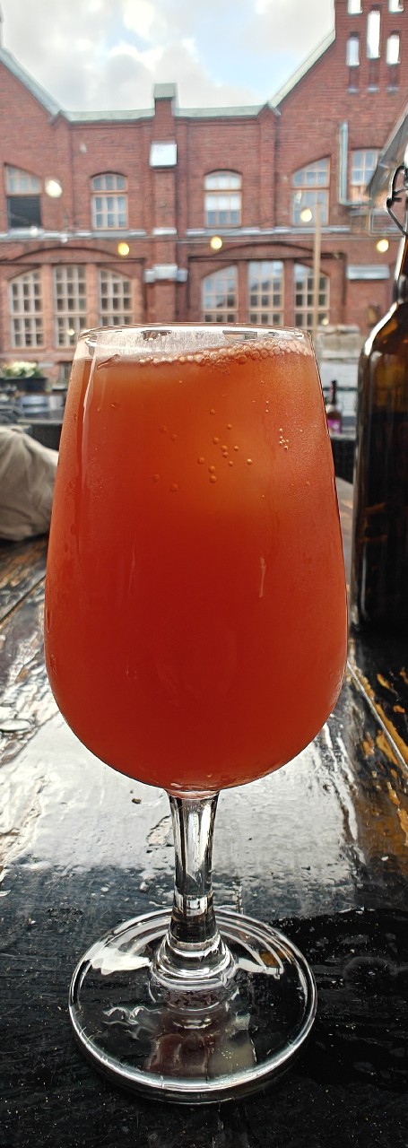 House Long Drink Carrot, Orange & Ginger, Finland