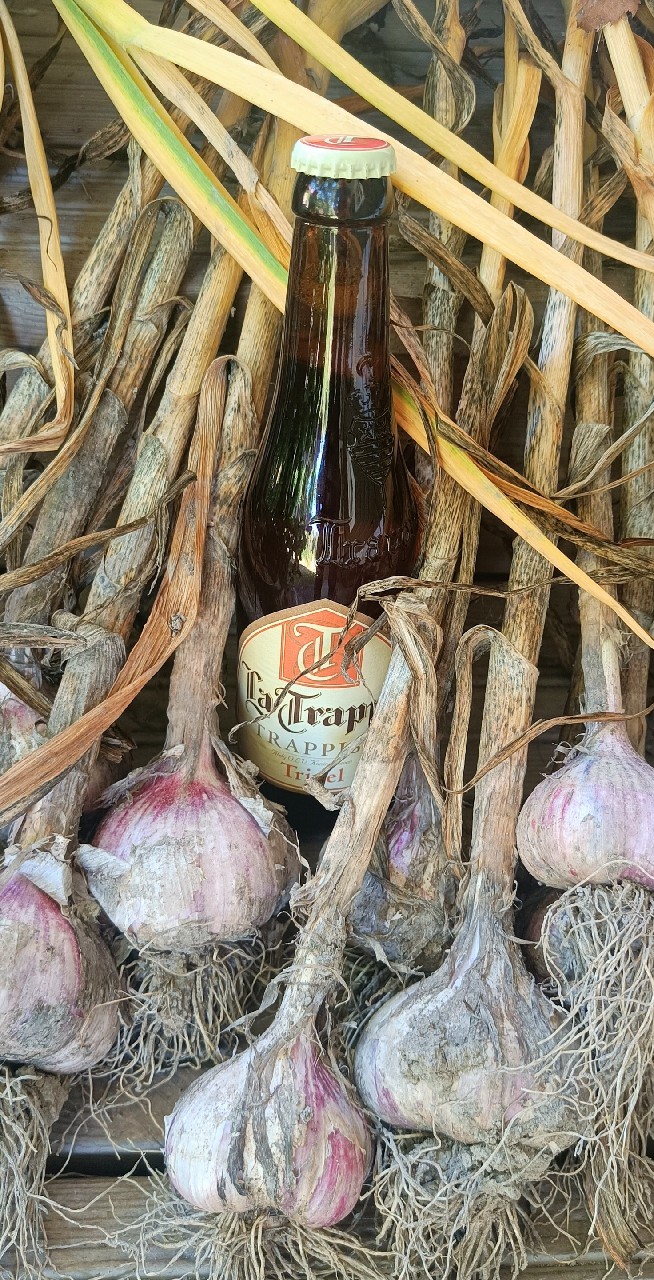 La Trappe Tripel, Netherlands