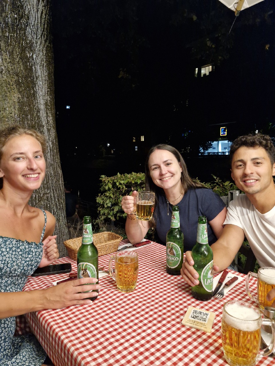 Laško Zlatorog Svetlo / Lager, Pivovarna Laško (Heineken)