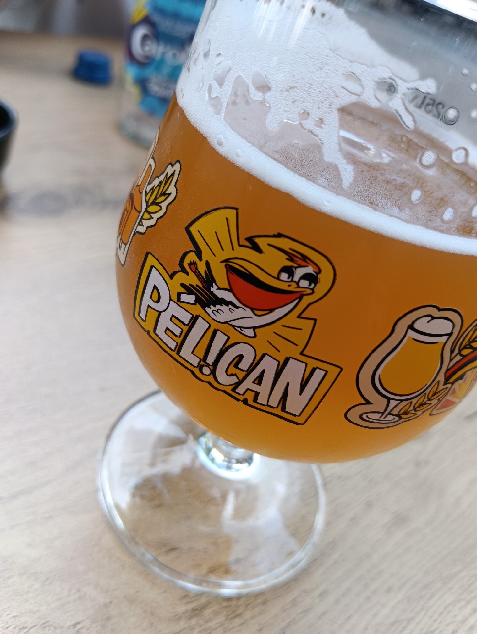 Pélican Blonde, France