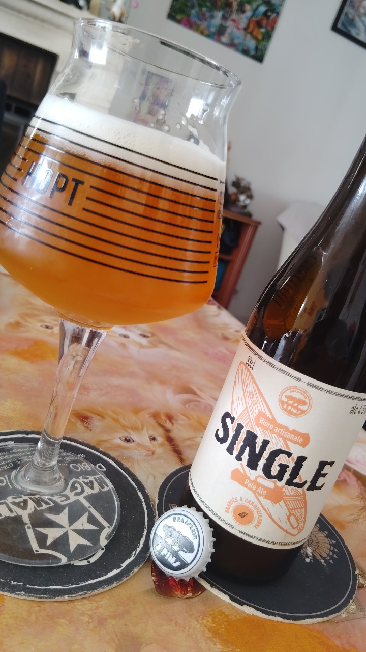 Single, Brasserie Des 3 Pins