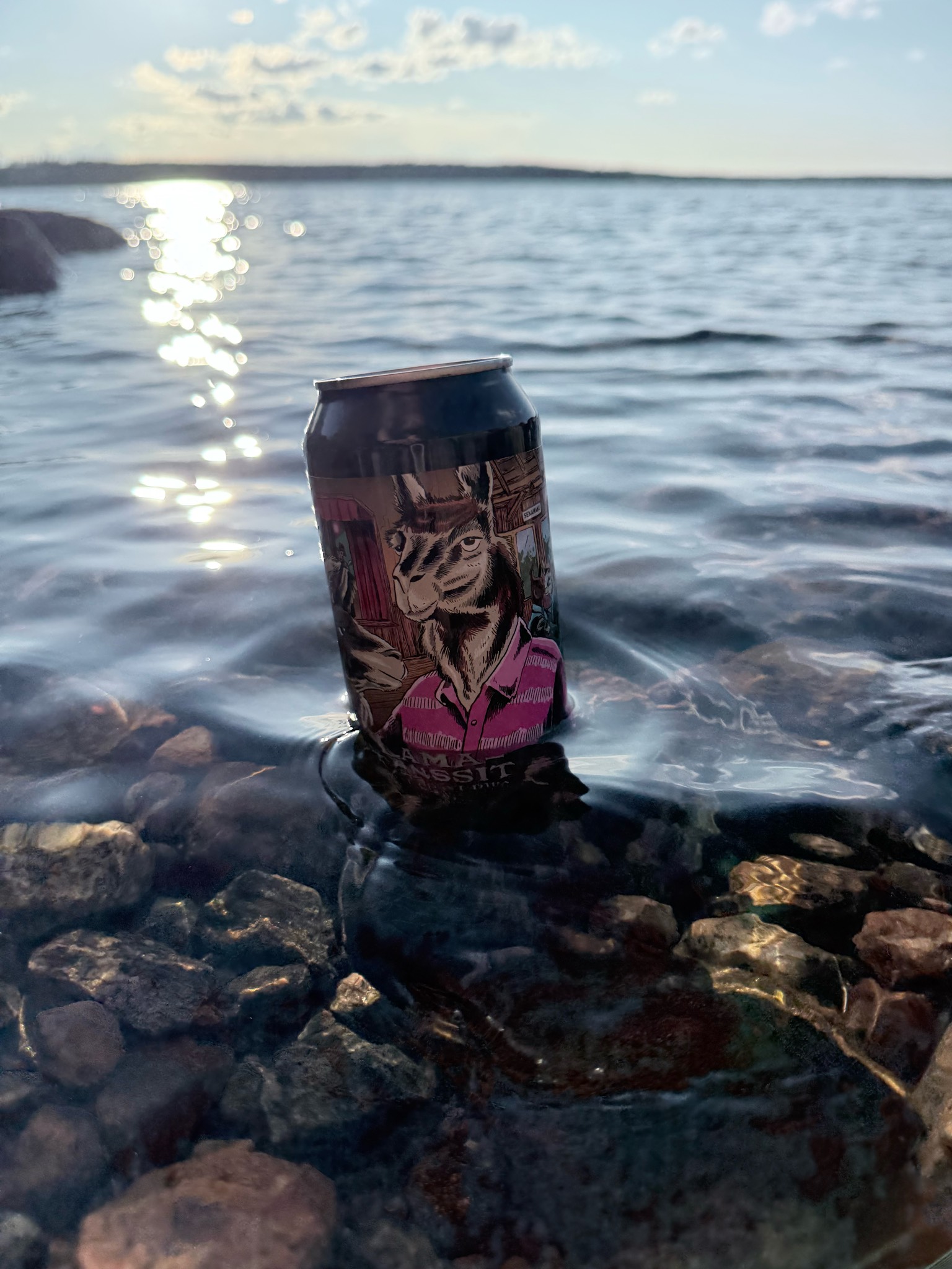 Lamatanssit, Finland