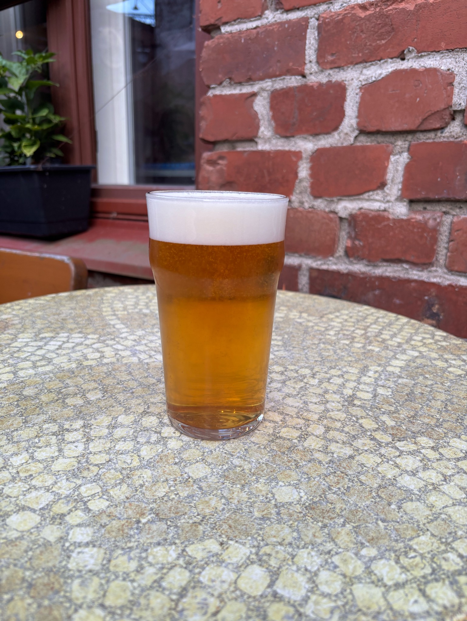 Wasted West Coast IPA, Runqarage Brewing