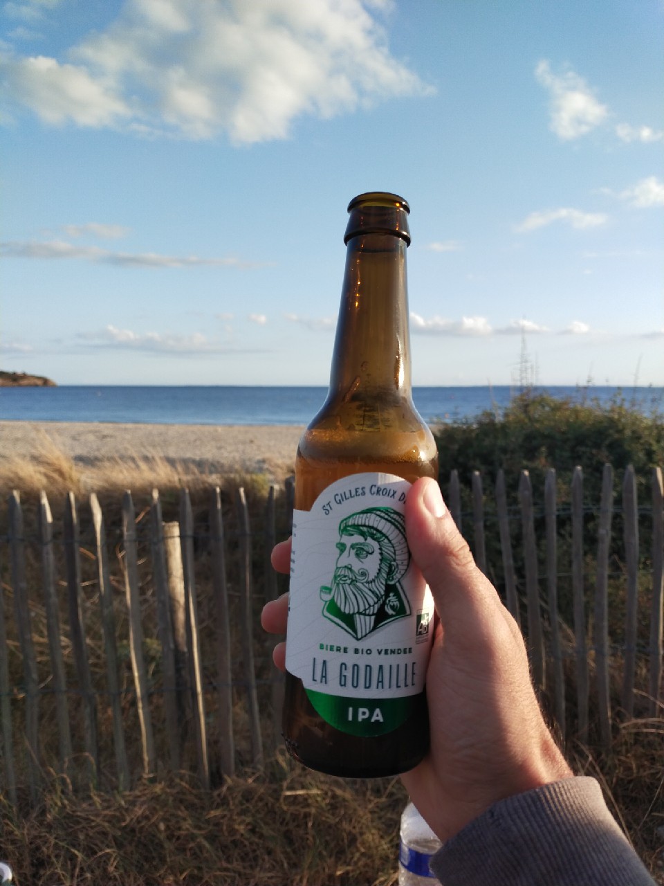 La Godaille IPA Bio, Les Brasseurs De La Vie