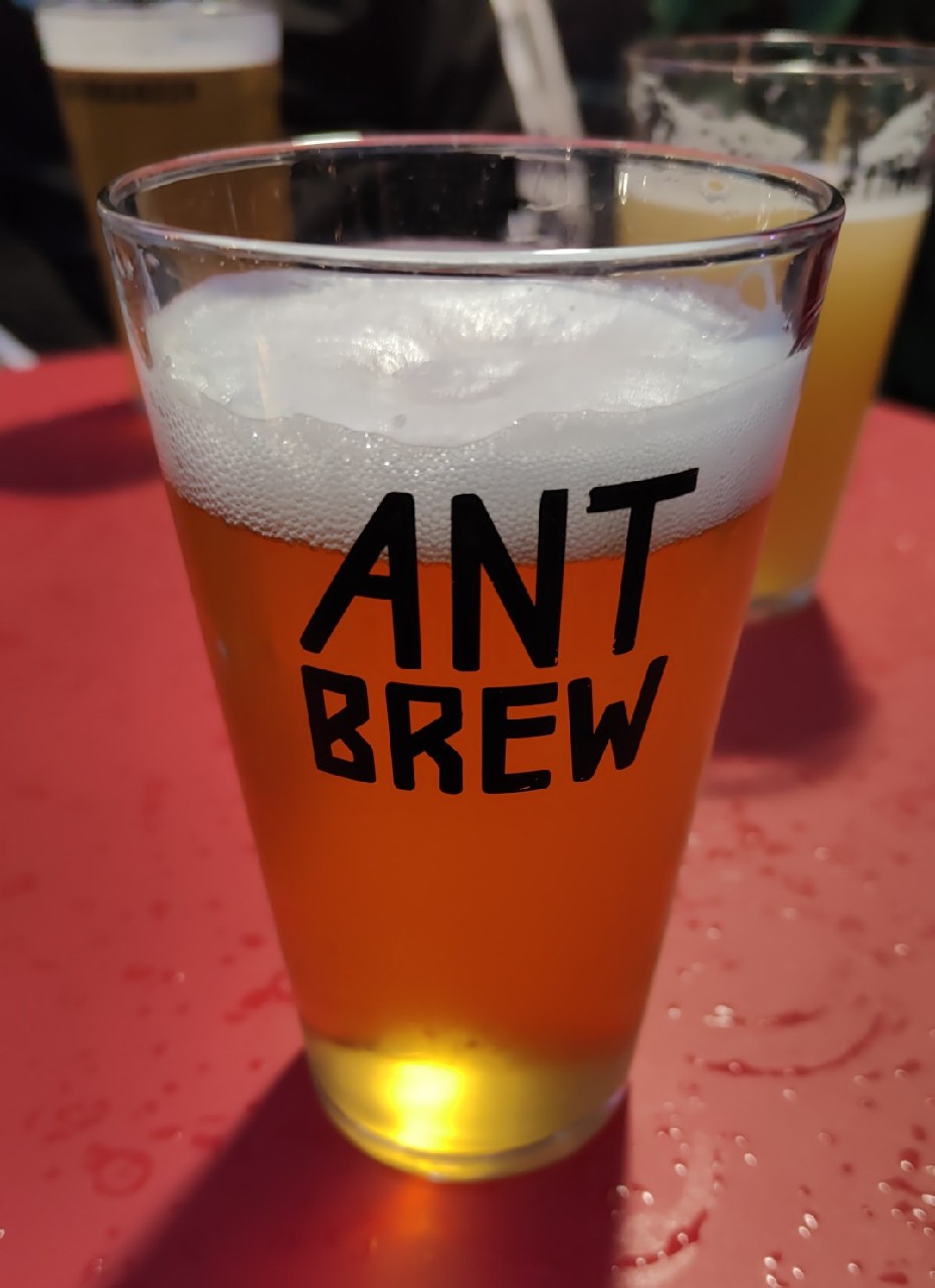 Symbioosi, Ant Brew