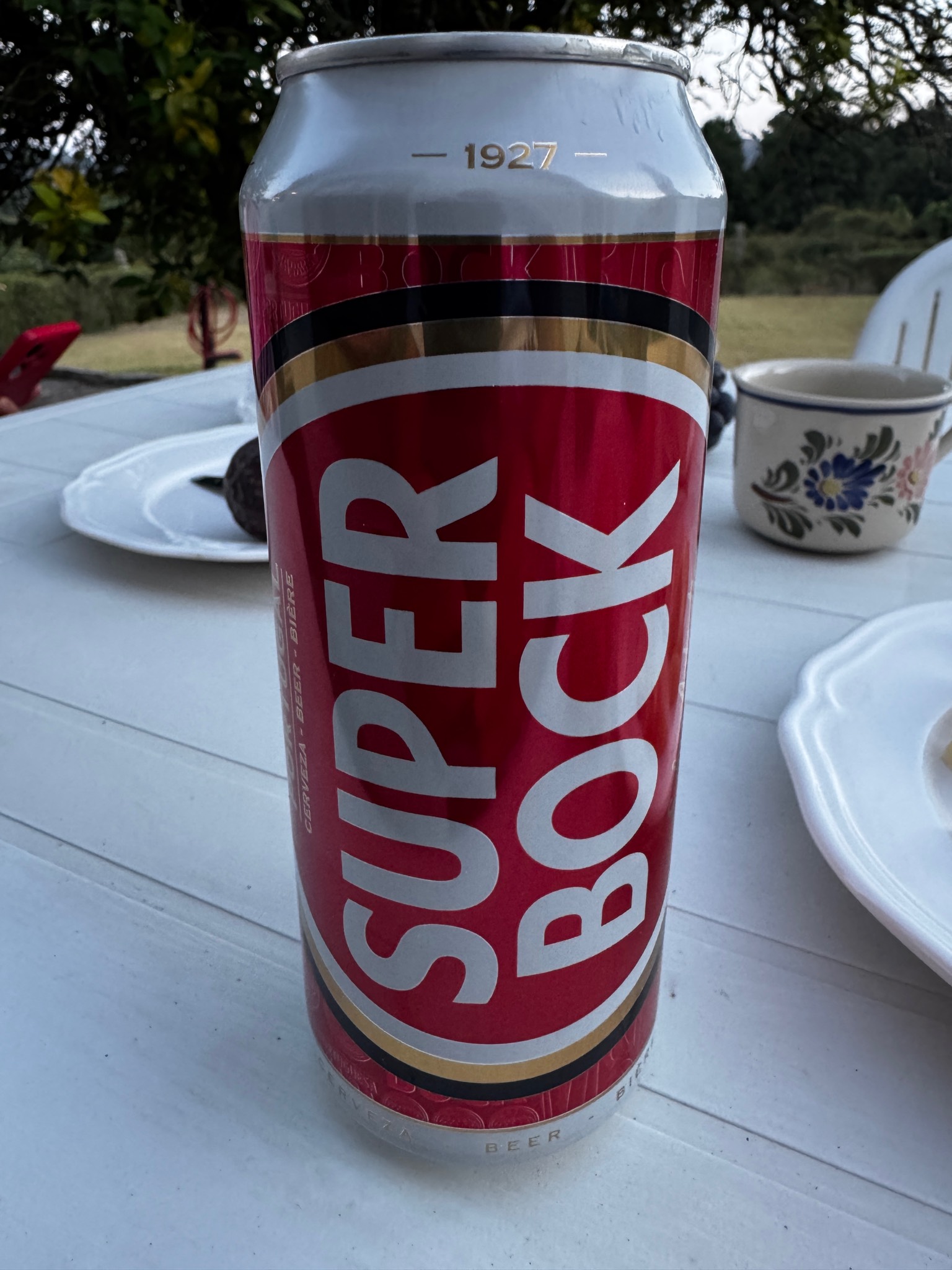 Super Bock, Super Bock Group