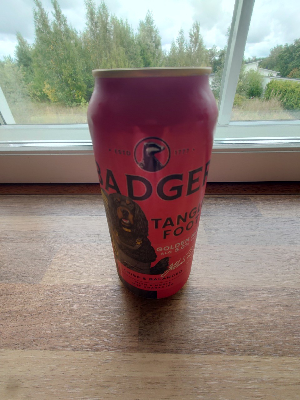 Tangle Foot, Badger Brewery (Hall & Woodhouse)
