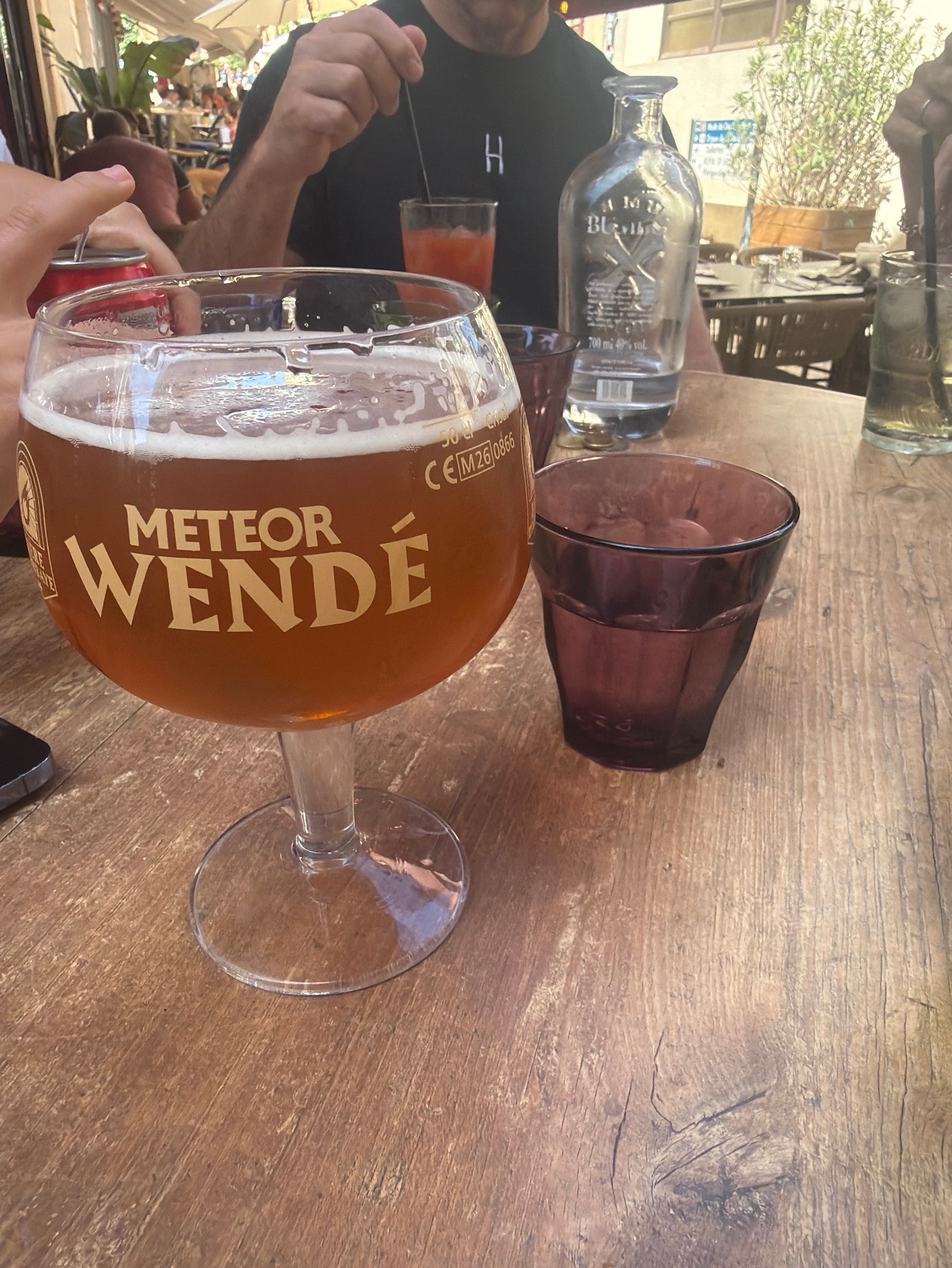 Wendelinus Blonde, France