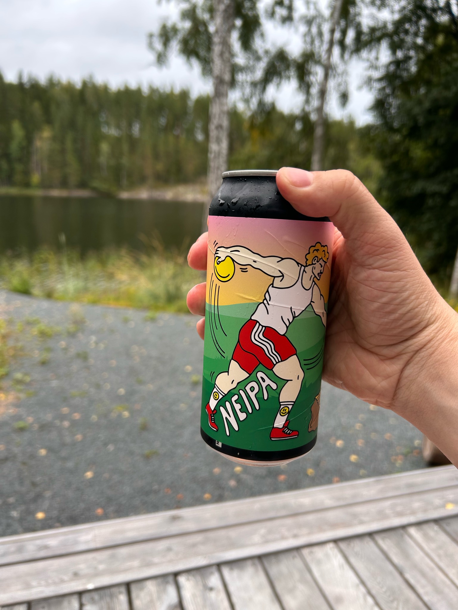 Diskaus, Finland