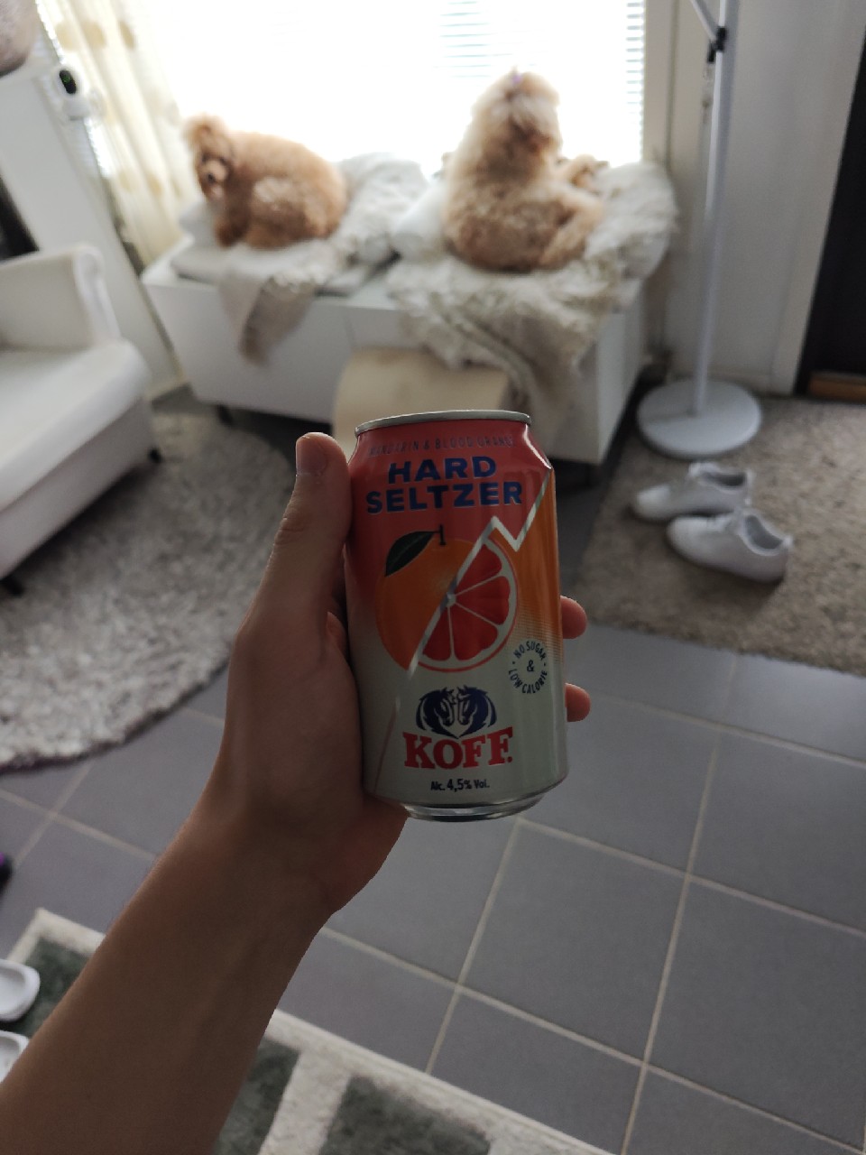 KOFF Hard Seltzer Mandarin & Blood Orange, Finland