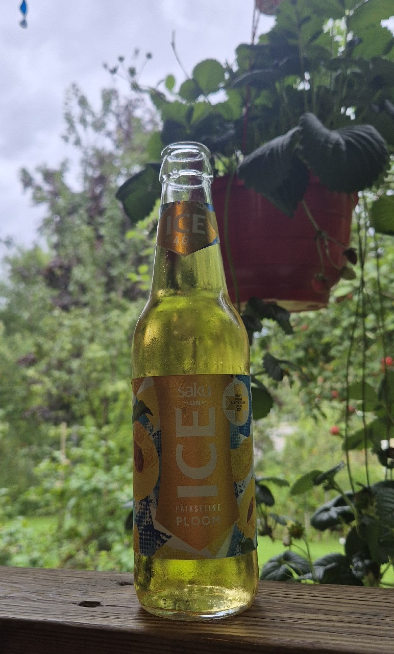 Saku On Ice Päikseline Ploom, Saku Õlletehas (Carlsberg)