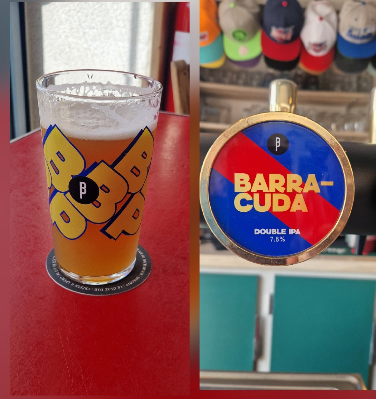 Barracuda, Belgium