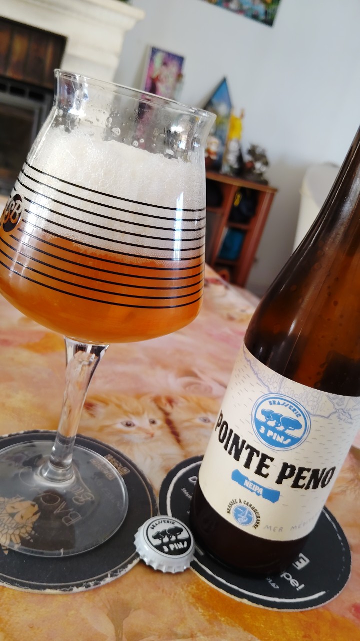 Pointe Peno, Brasserie Des 3 Pins