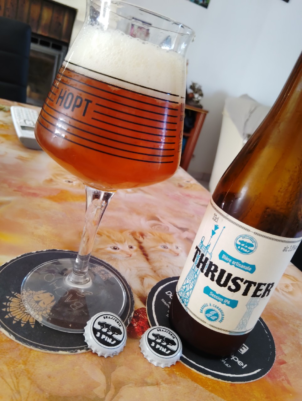 Thruster, Brasserie Des 3 Pins