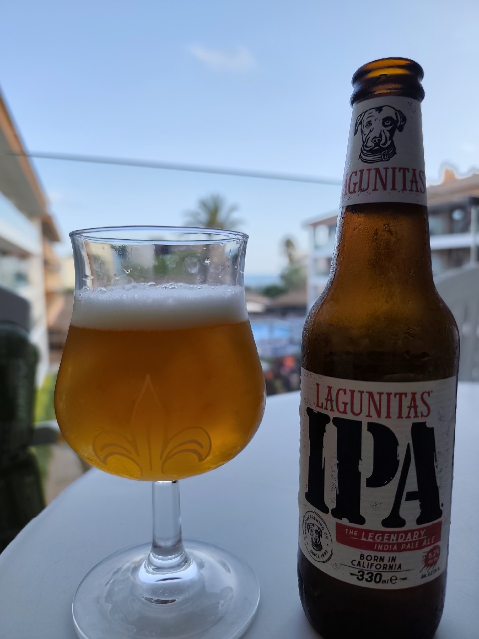 Lagunitas IPA, Lagunitas Brewing Company (Heineken)