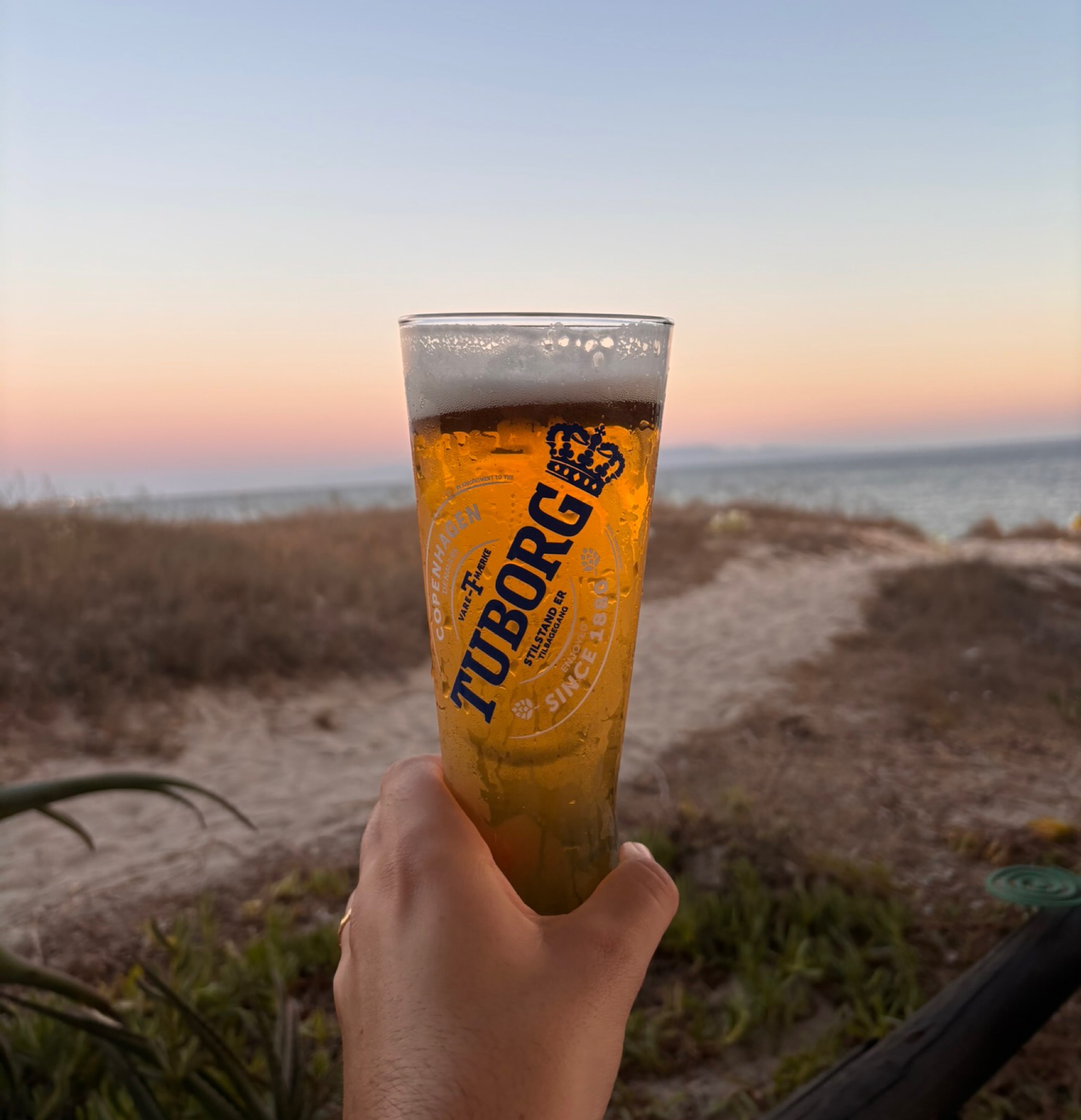 Tuborg, Carlsberg Sverige