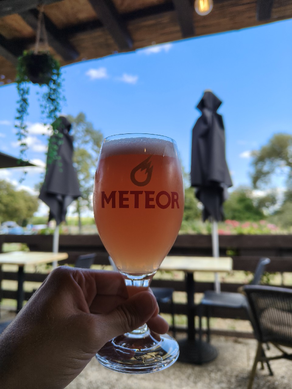 Meteor Cerise, Brasserie Meteor
