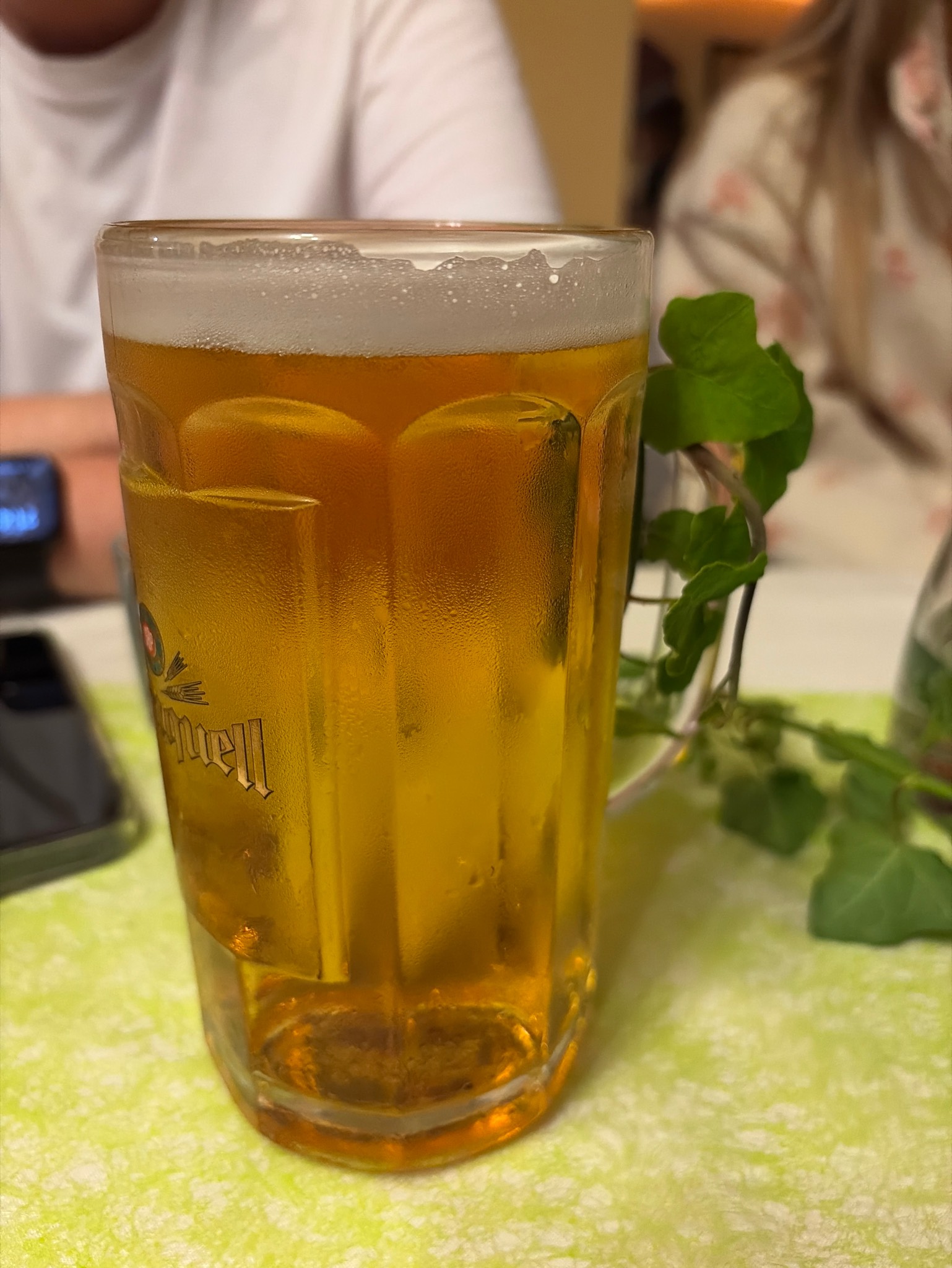 Braumeister Pils, Frankfurter Brauhaus (TCB Beverages)
