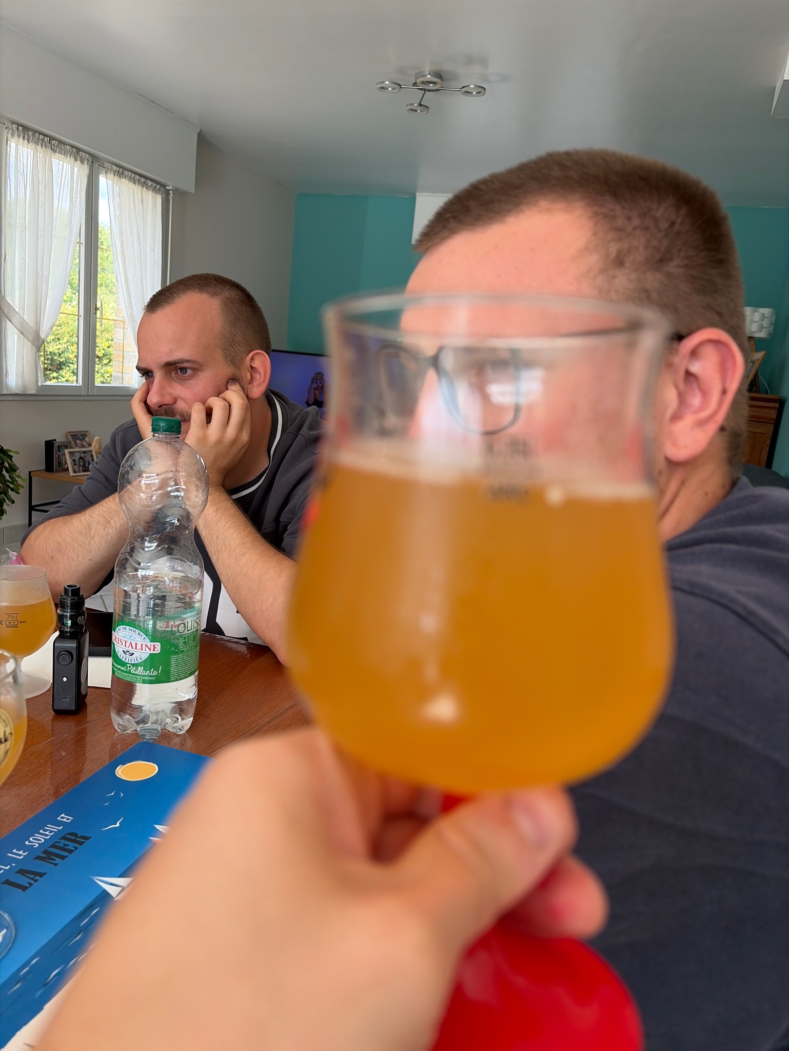 Wild Collection - Wild Laurier Saint-Émilion Foeder Aged, Brasserie Iron