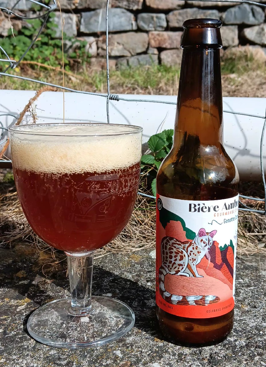 Luciole - Genette Commune, La Brasserie Des Tilleuls - Bivouak