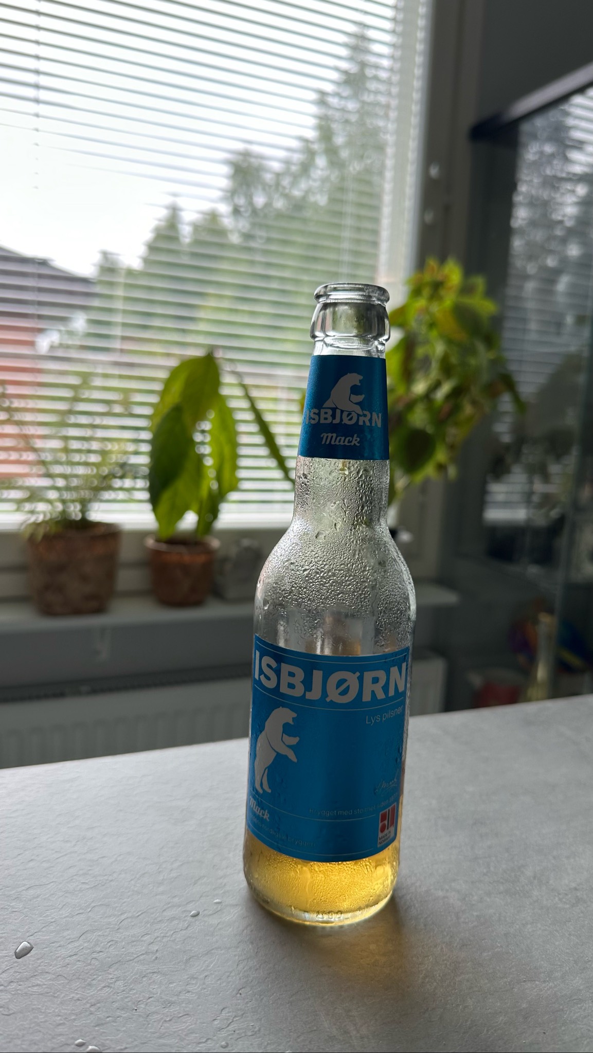 Isbjørn, Macks Ølbryggeri