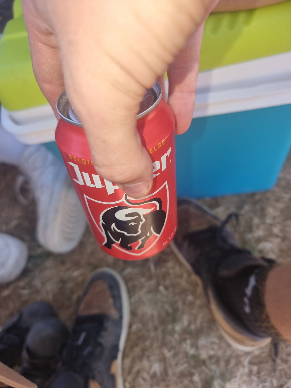 Jupiler, Brasserie Piedboeuf (InBev)