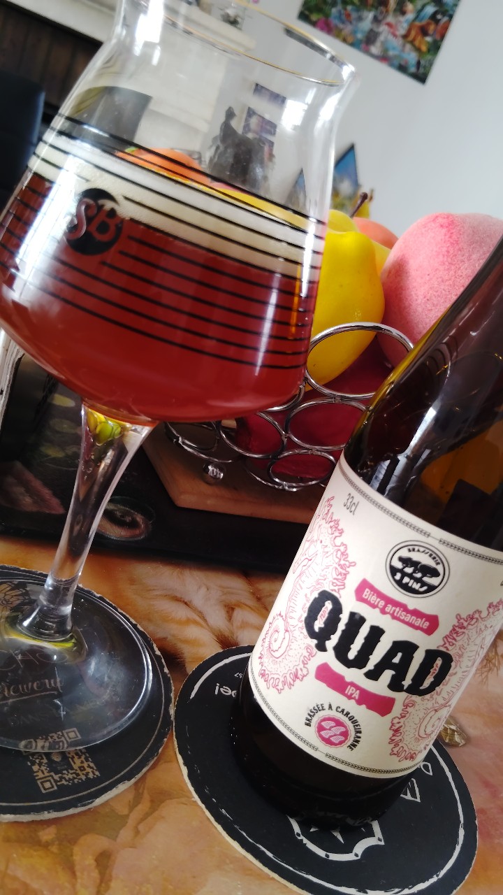 Quad, Brasserie Des 3 Pins