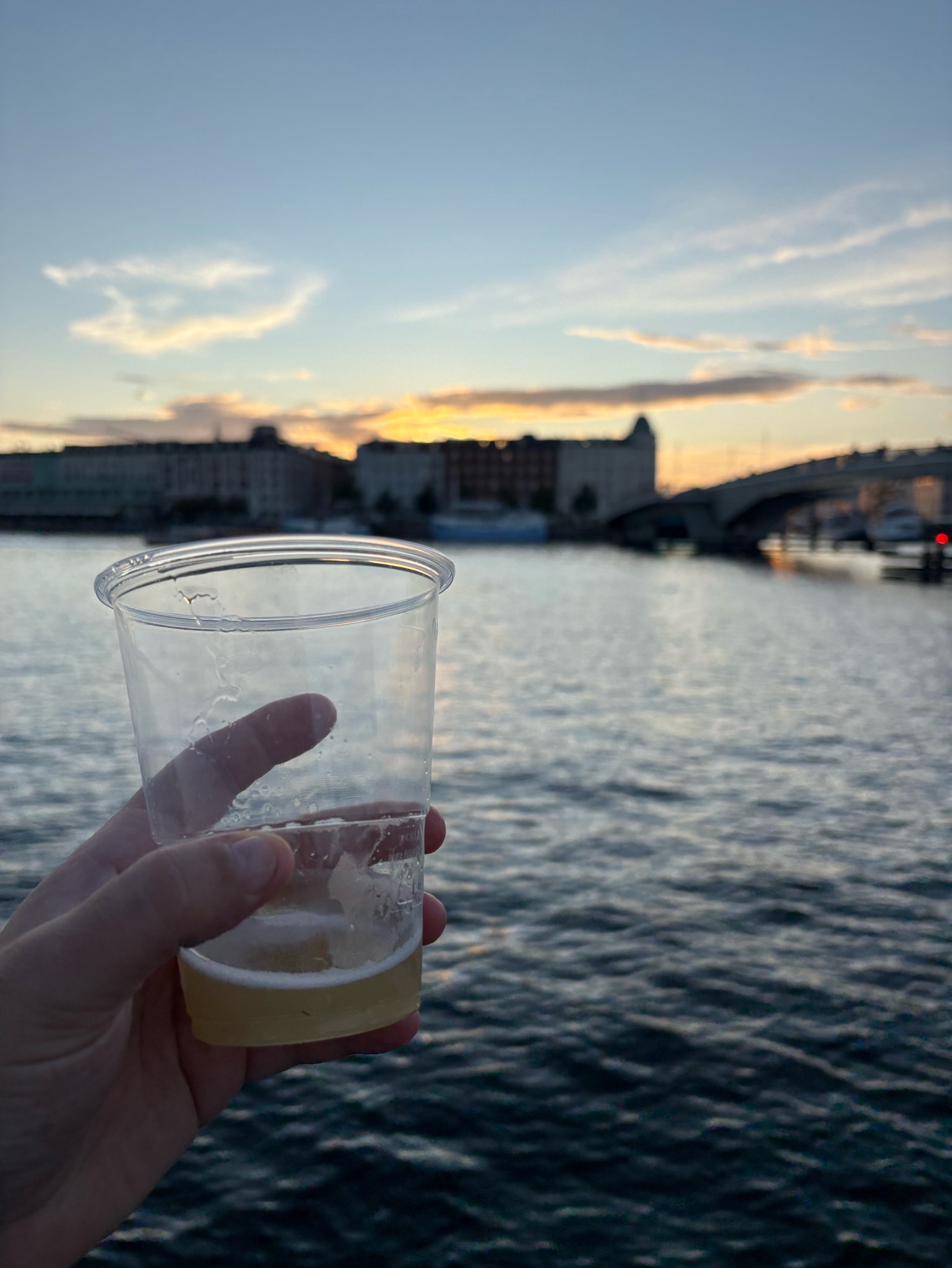 Broens IPA w Elderflower, Nørrebro Bryghus