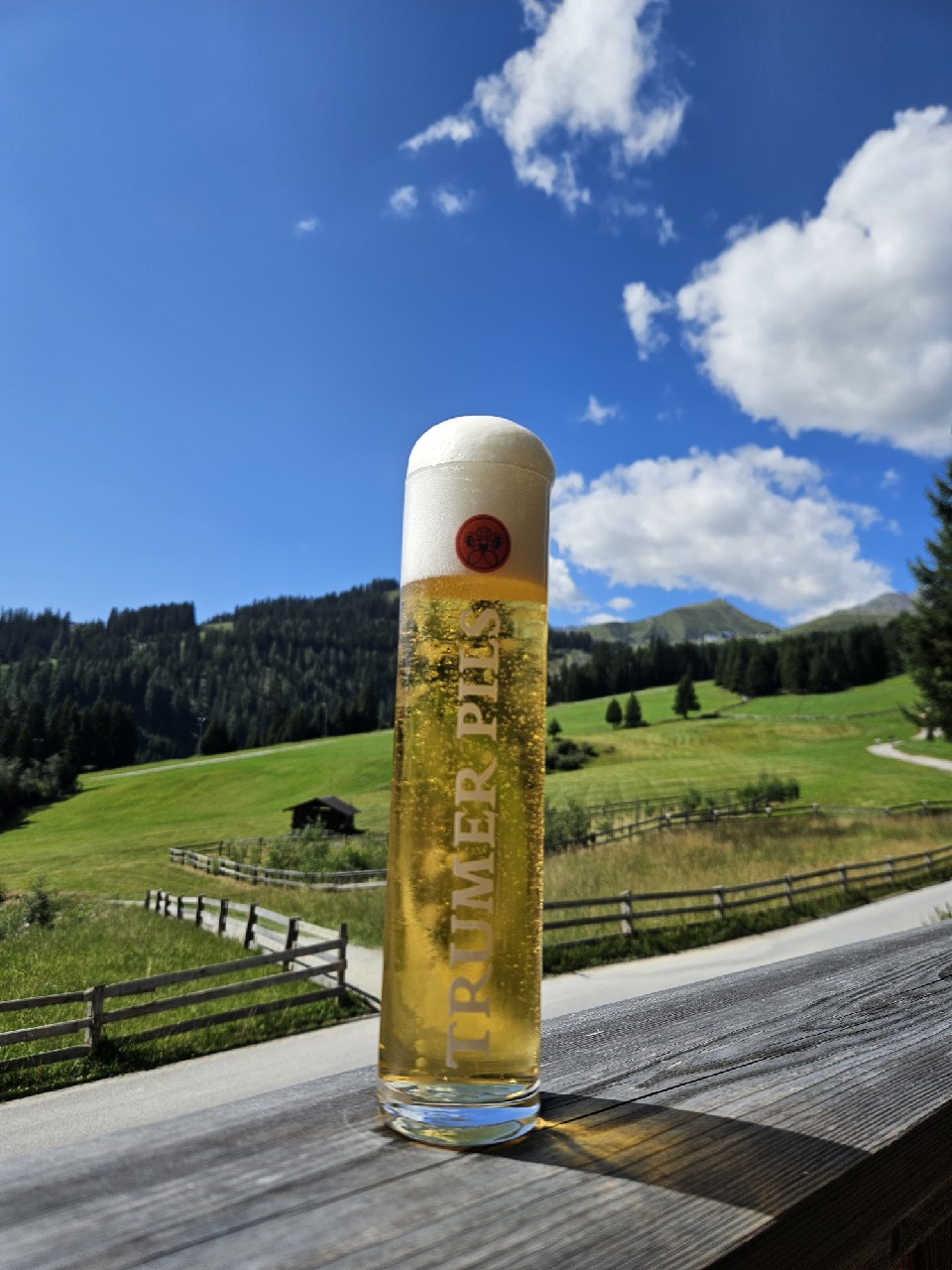 Trumer Pils, Austria