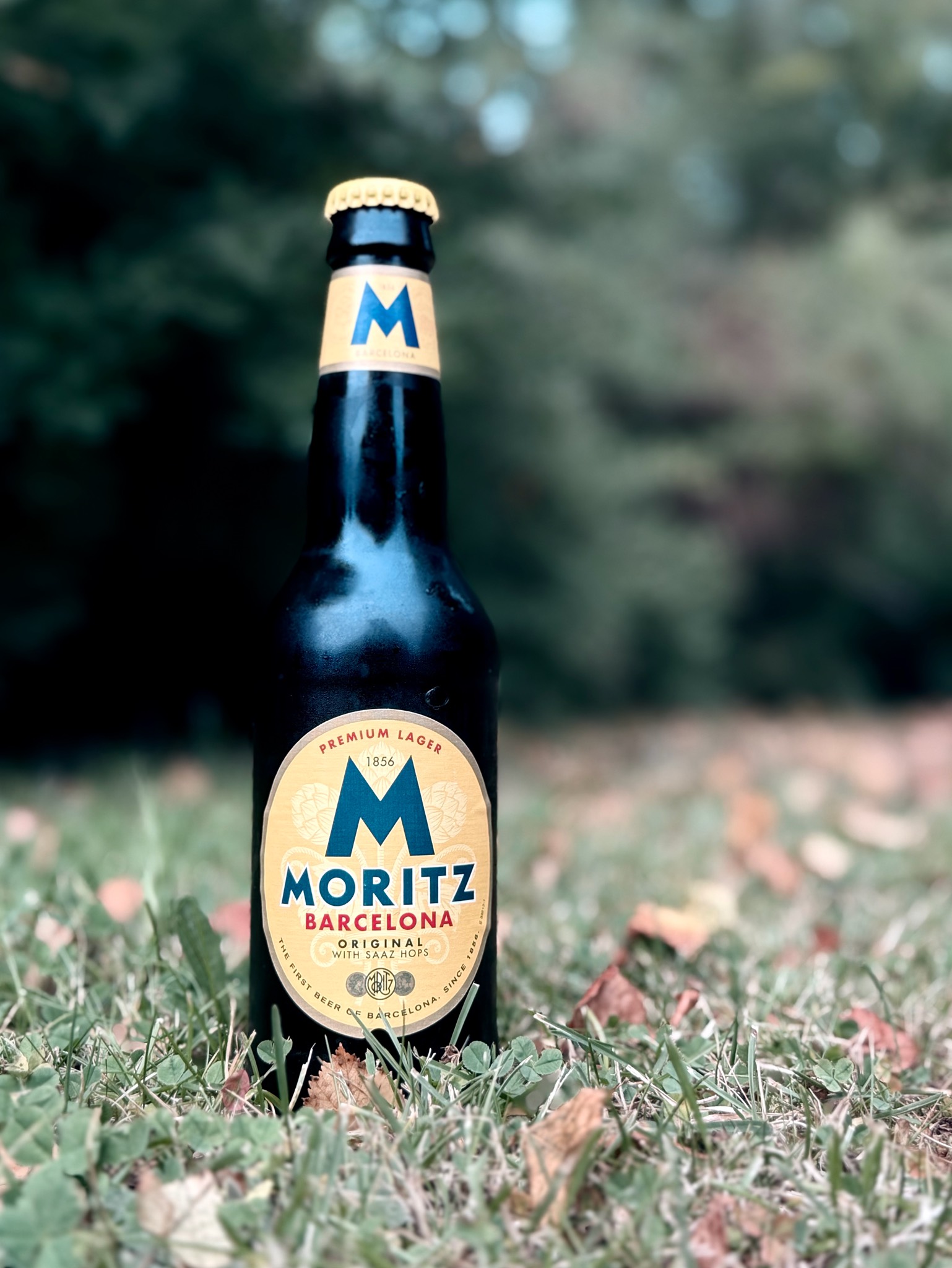 Moritz Original, Cervezas Moritz