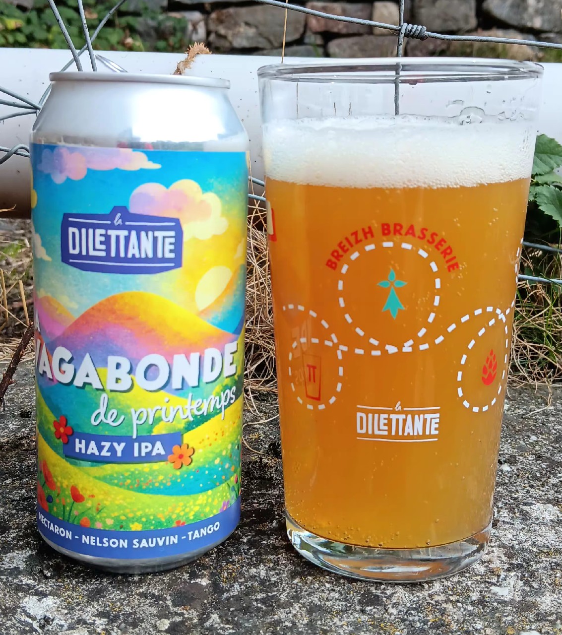 Vagabonde de printemps, Brasserie La Dilettante