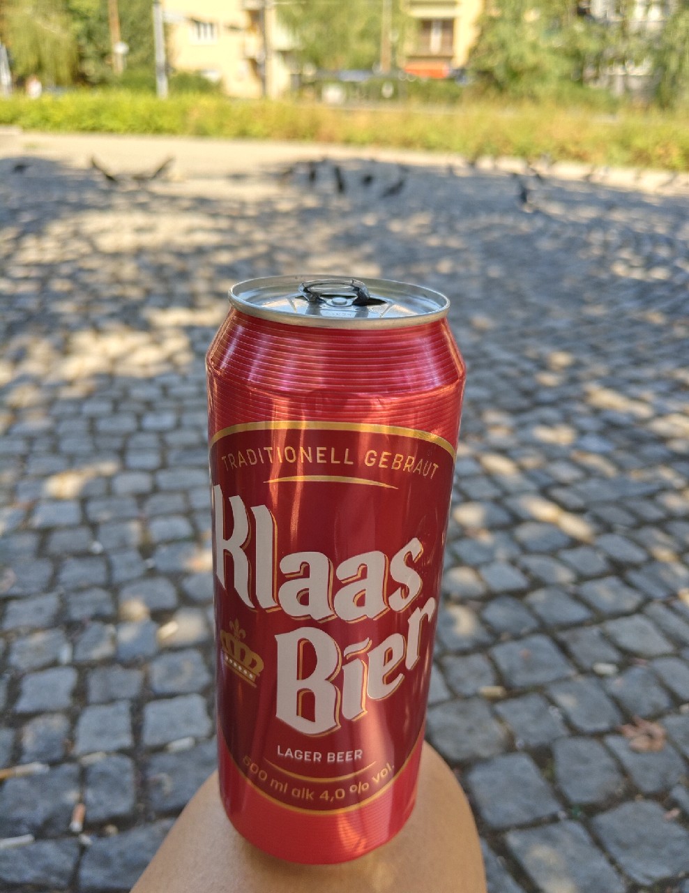 Klaas Bier, Mercator Ljubjana