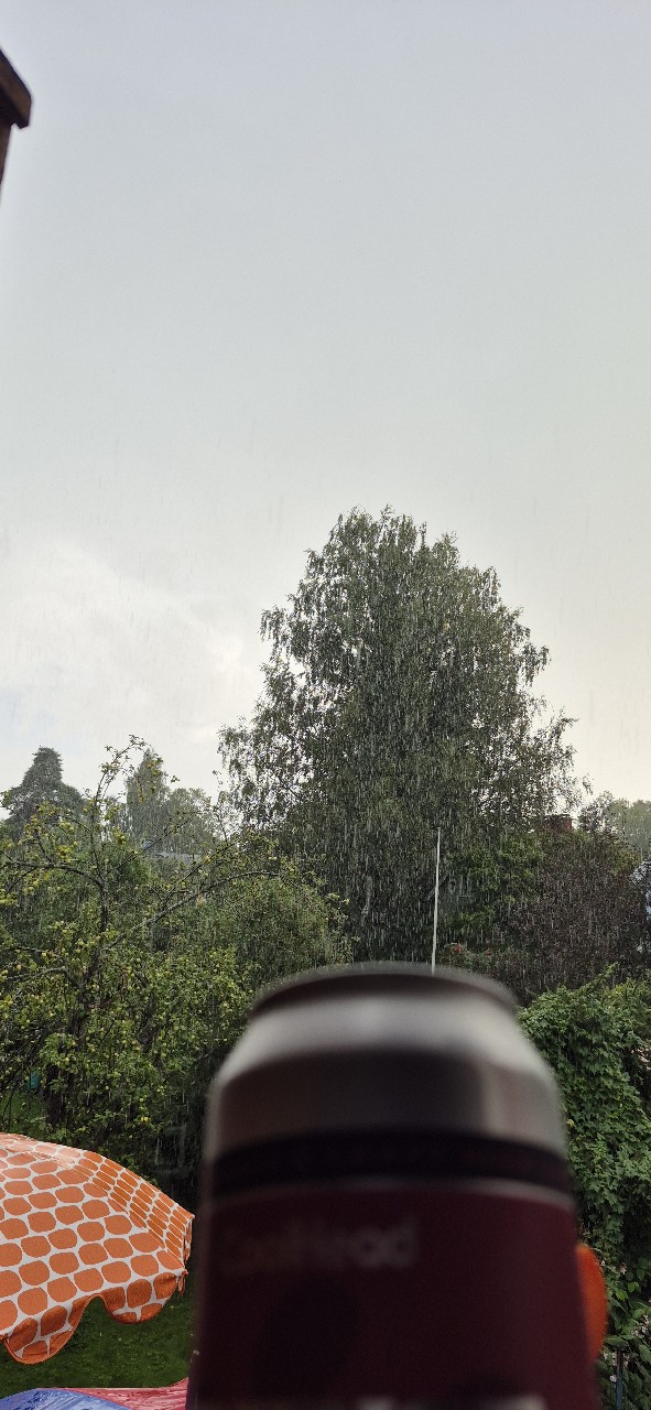 CBGF: Grunge In the Garden, Finland