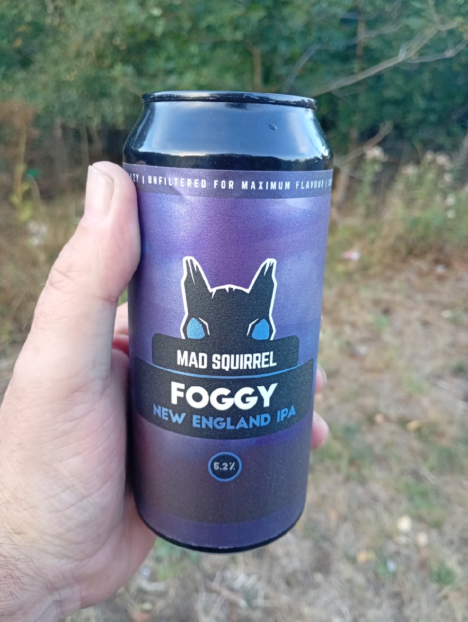 Foggy, Mad Squirrel Brewing