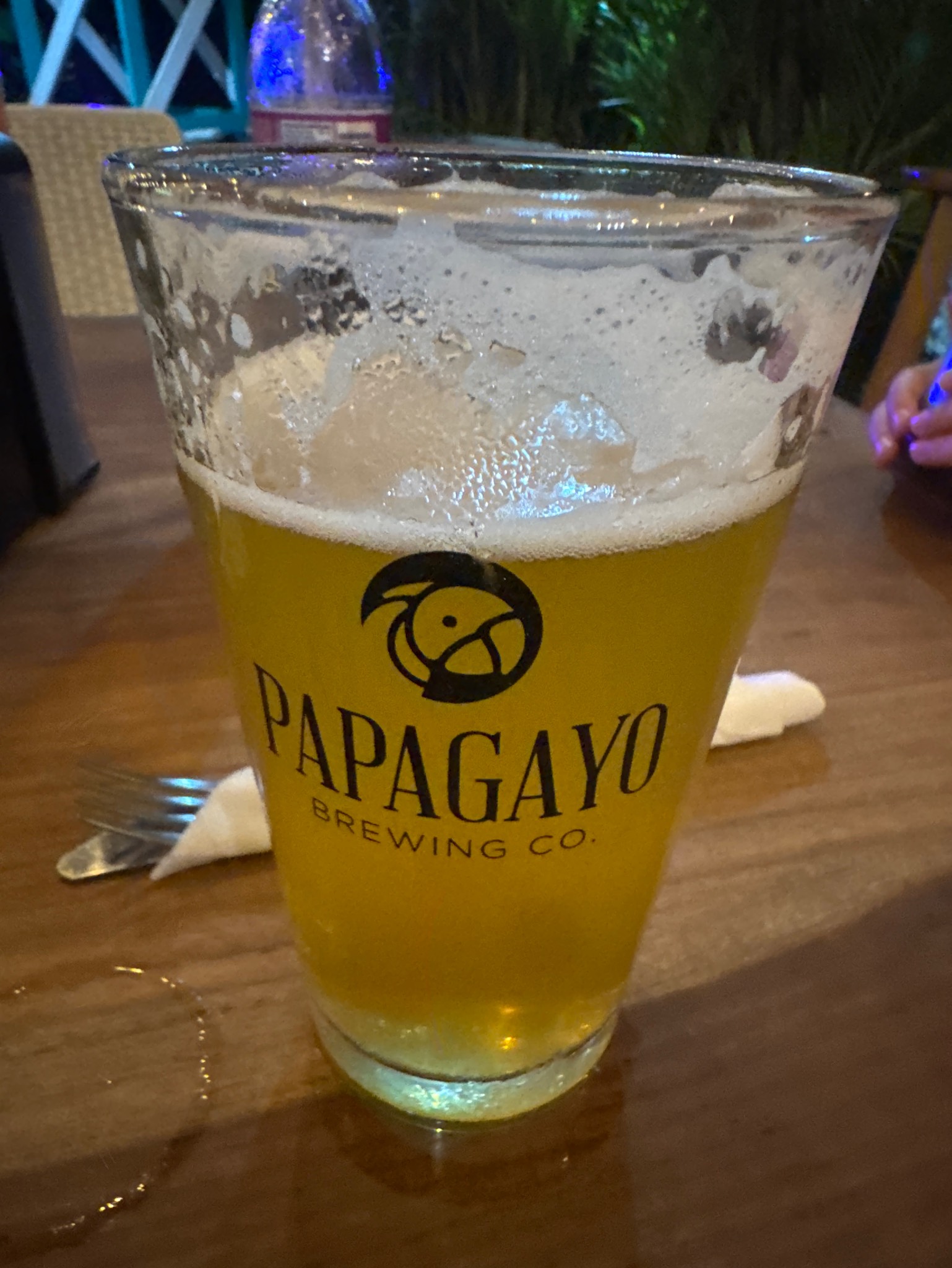 Tropical IPA, Papagayo Brewing Co.