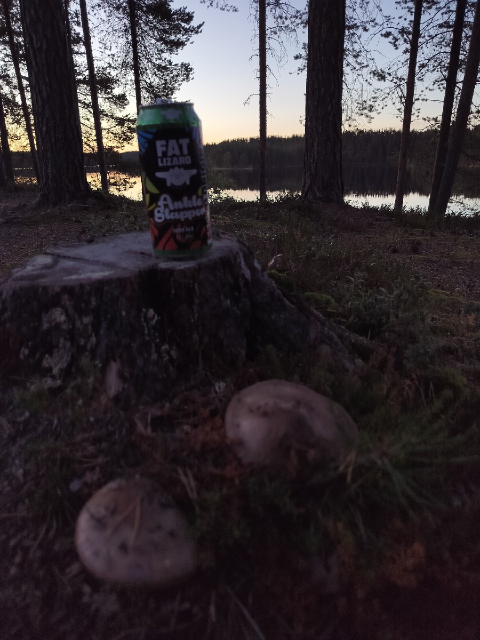Ankle Slapper Surf Ale, Finland