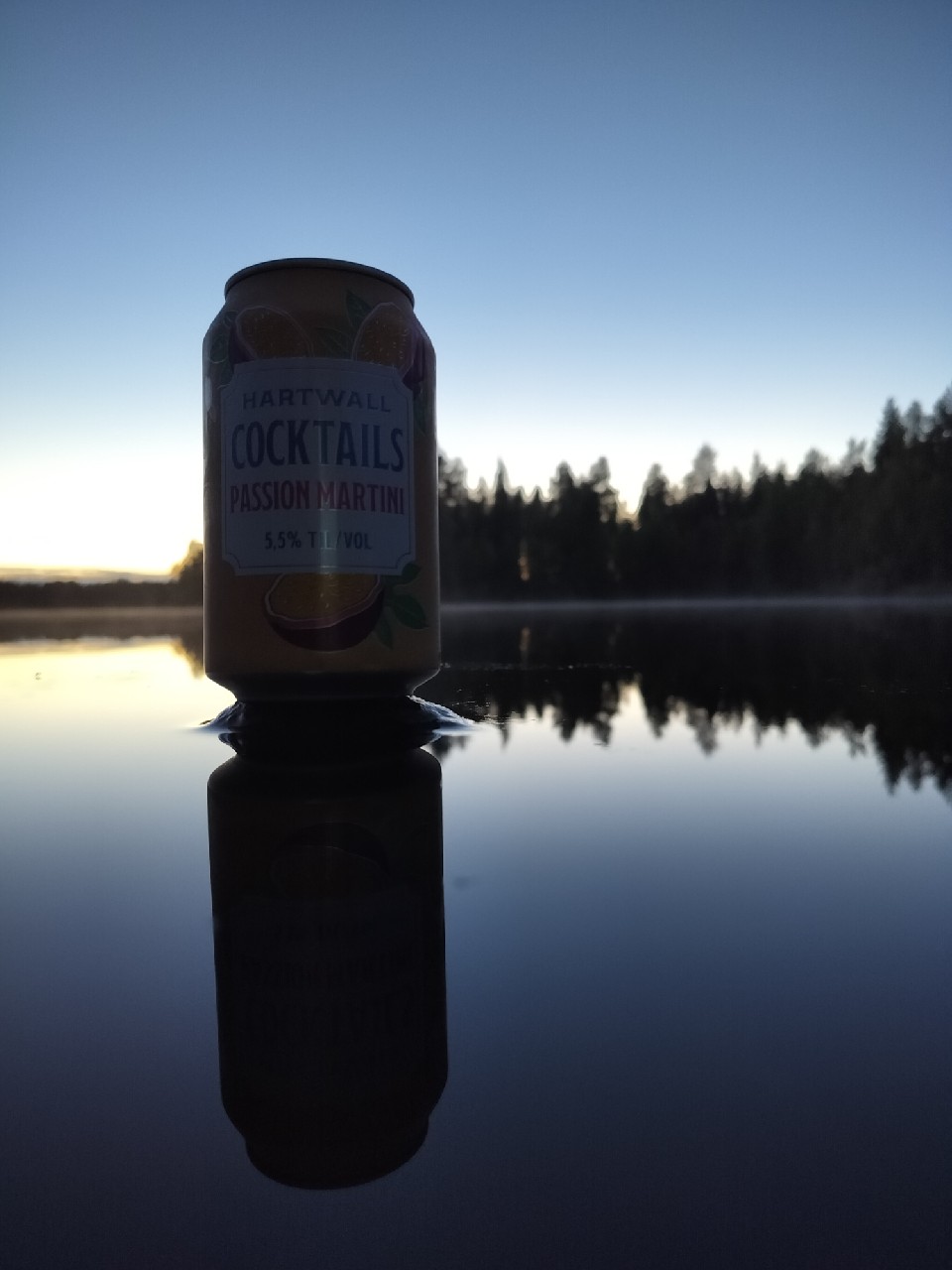 Hartwall Cocktails Passion Martini, Finland