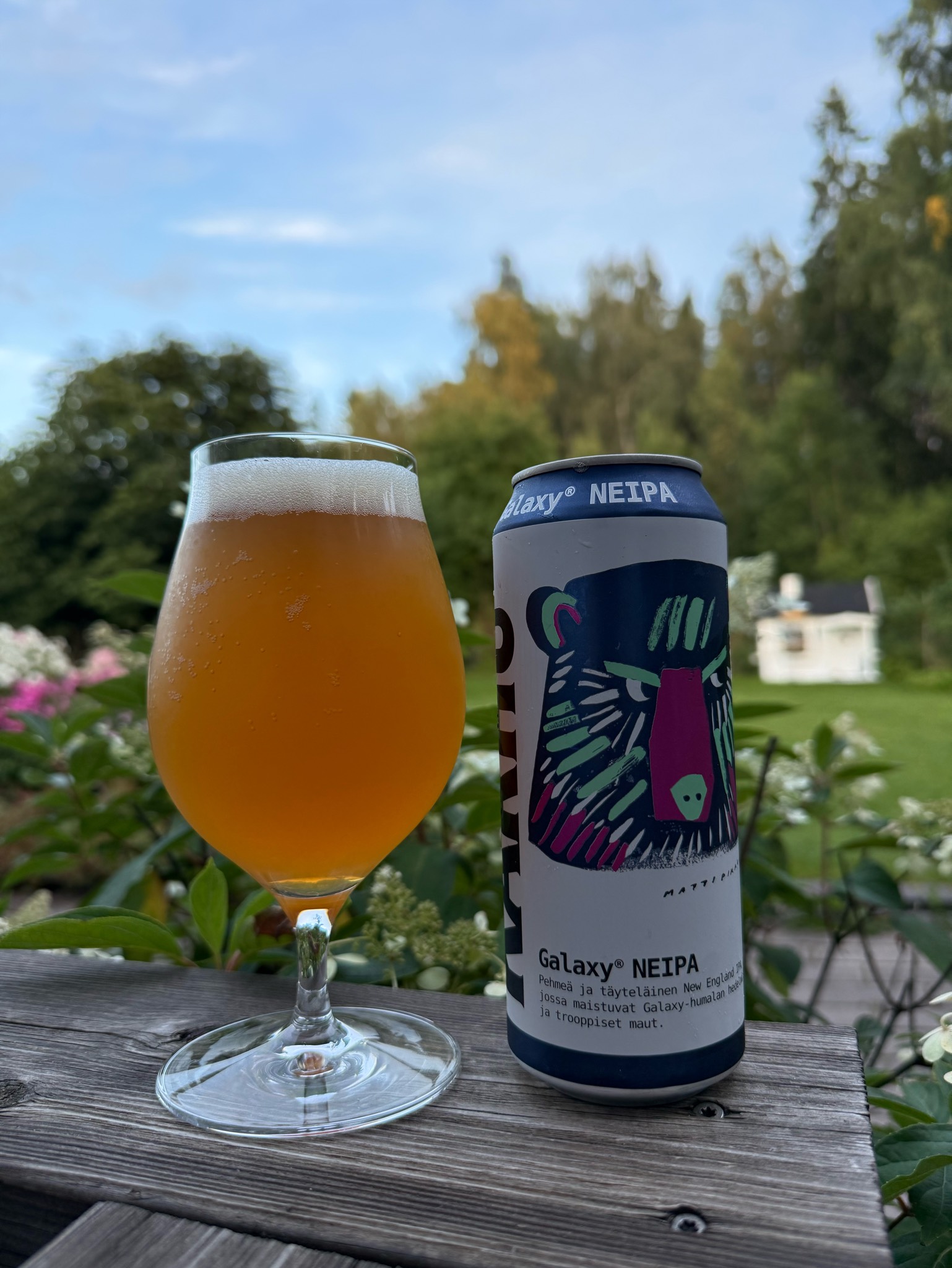 Karhu Galaxy NEIPA, Finland